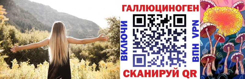 где найти наркотики  Киселёвск  это какой сайт  Псилоцибиновые грибы Psilocybine cubensis 